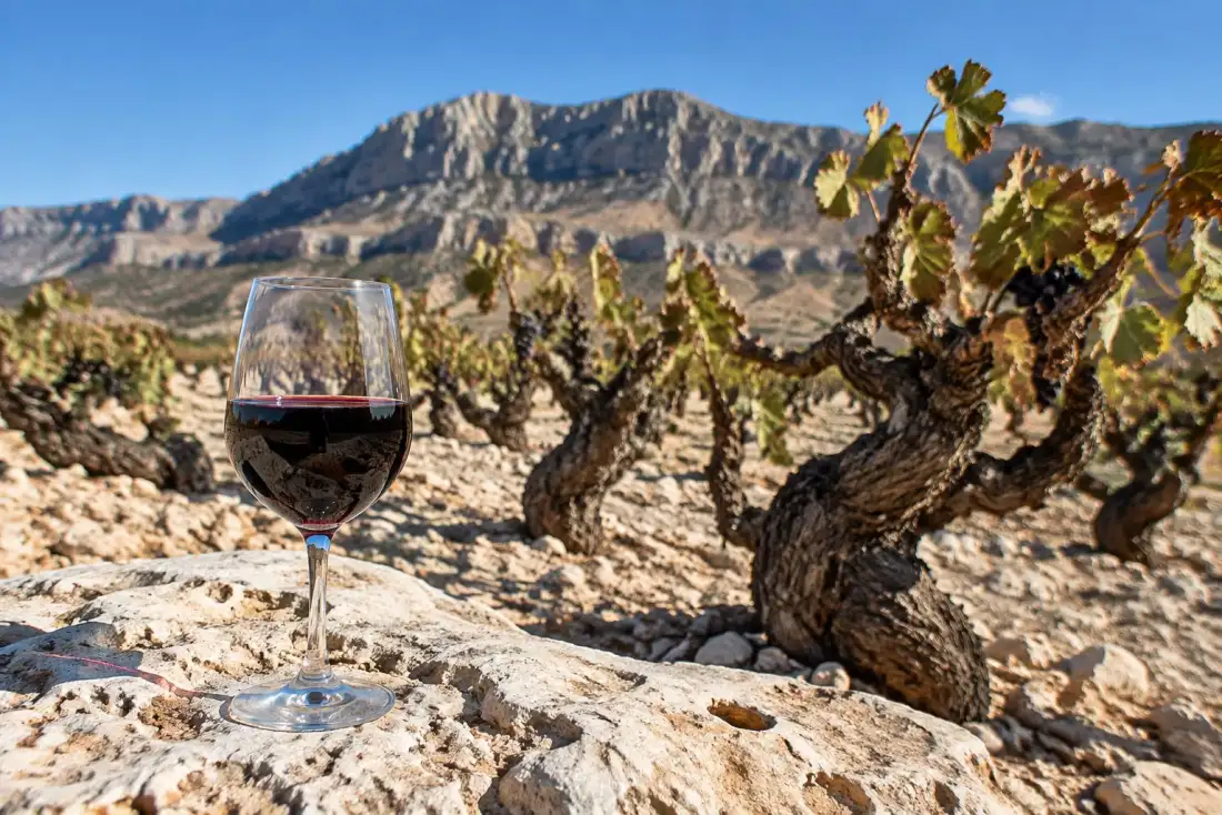 Monastrell-buskstokke på tør, kalkrig jord i Jumilla med bjerge og et glas mørk rødvin