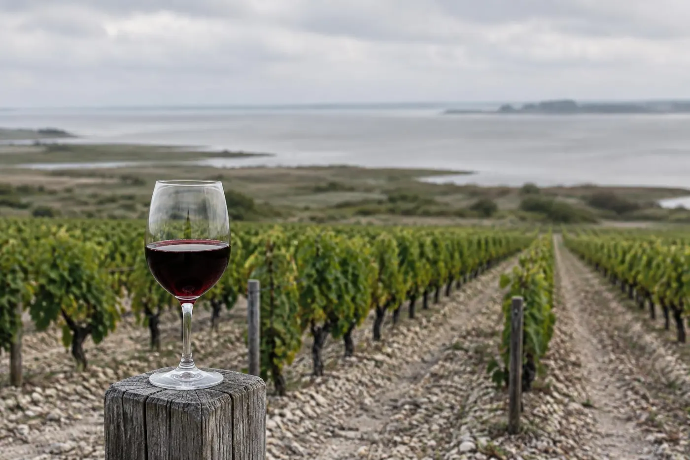 Flade vinmarker med grusjord og ler ved Gironde-flodmundingen og et glas rødvin